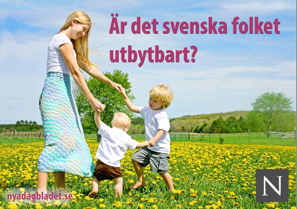 image of Nya Dagbladet's "ethnic rights campaign" courtesy of Expo